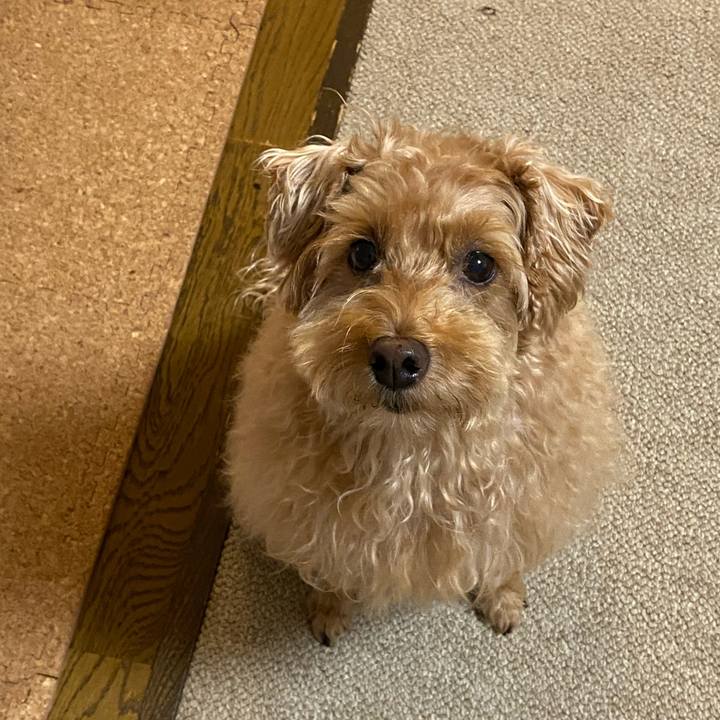 Ec71323f e1e1 4a3c a9b6 194232be6042 1660731157975