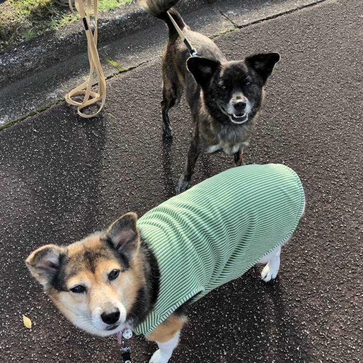 Ec713f96 626d 48fd ab85 d2d1c3237ea2 1509176545165