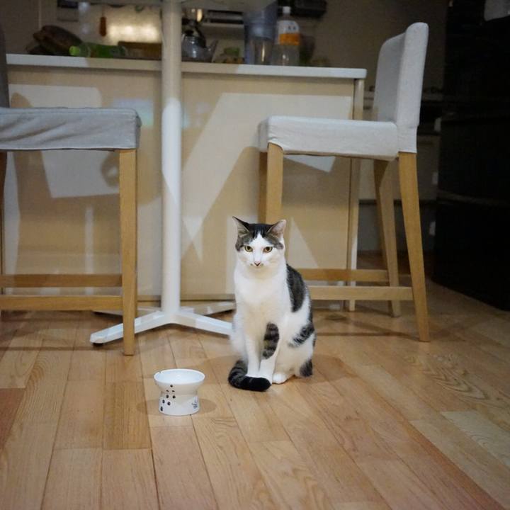 Ec714e9c 5ba1 45f1 86d1 befaac4aeea9 1539267429873