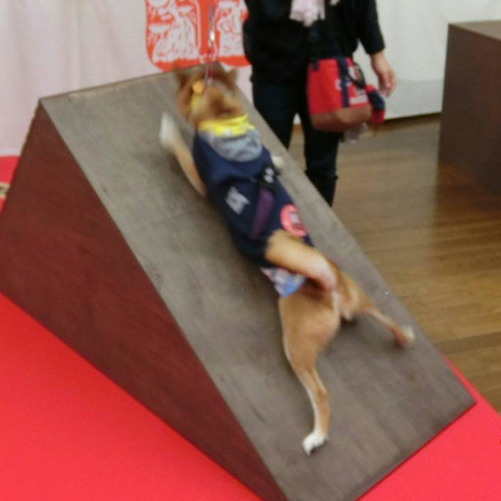 Ec7156ba 9657 49b2 b22a 4b4c976a72d9 1539012668176