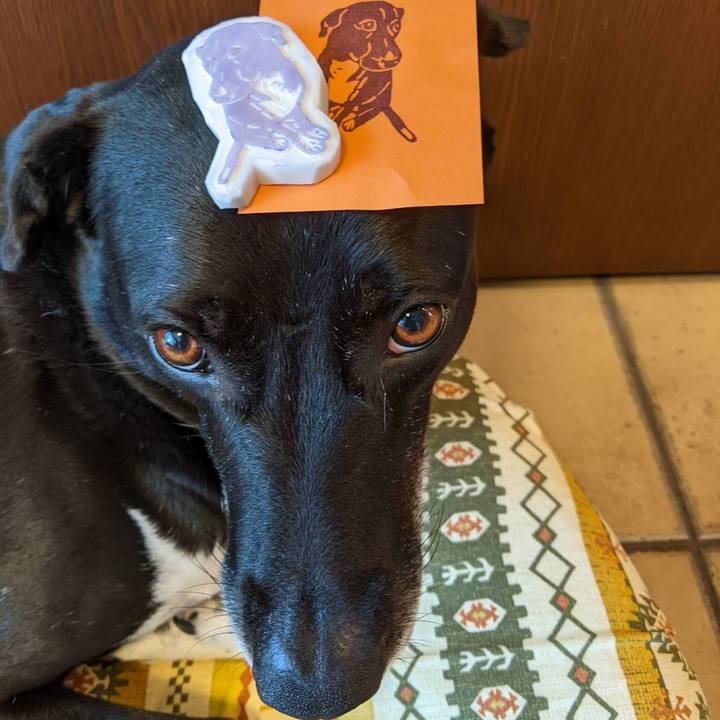 Ec718506 ff26 4d70 962a a1025392af5b 1658727218100