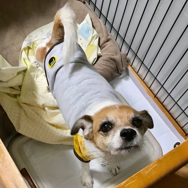 Ec7190fc 1274 43e6 a594 0d220a865b52 1563744605315