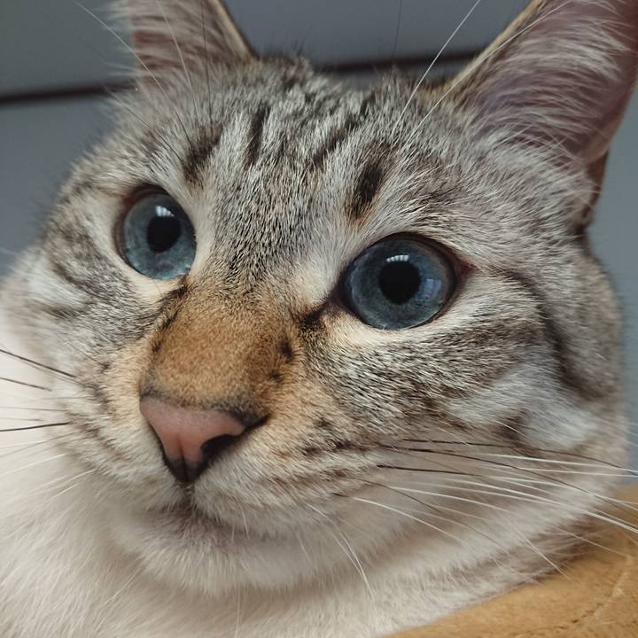 Ec71a23d 8471 41dd b4e9 a059c768dcf7 1560559529852