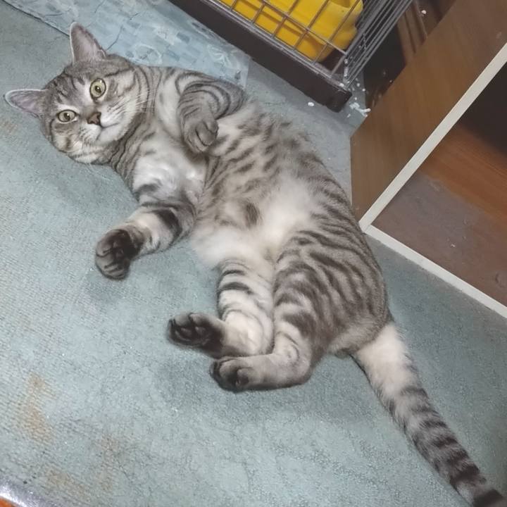 Ec71d6a4 4713 43f1 9cb3 1f33fb0f4d0d 1590325789622