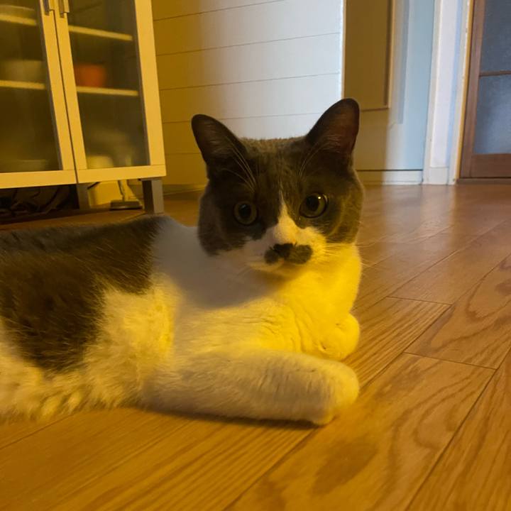 Ec721598 e704 45cb aef1 61b028ed95c2 1726180645442