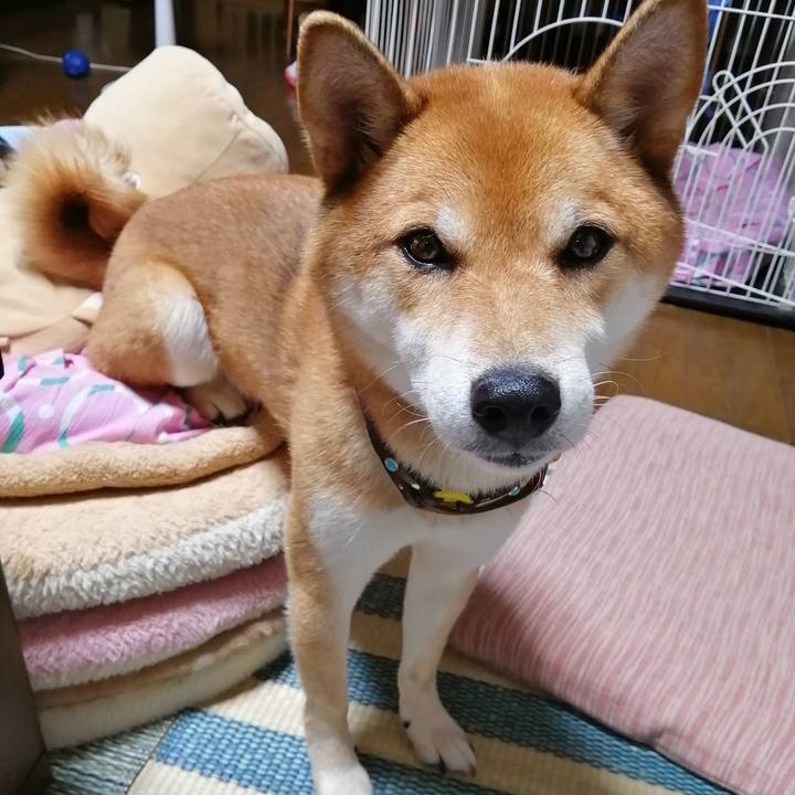 Ec72829c 3b49 474d 82f6 509730eb599d 1598178435752