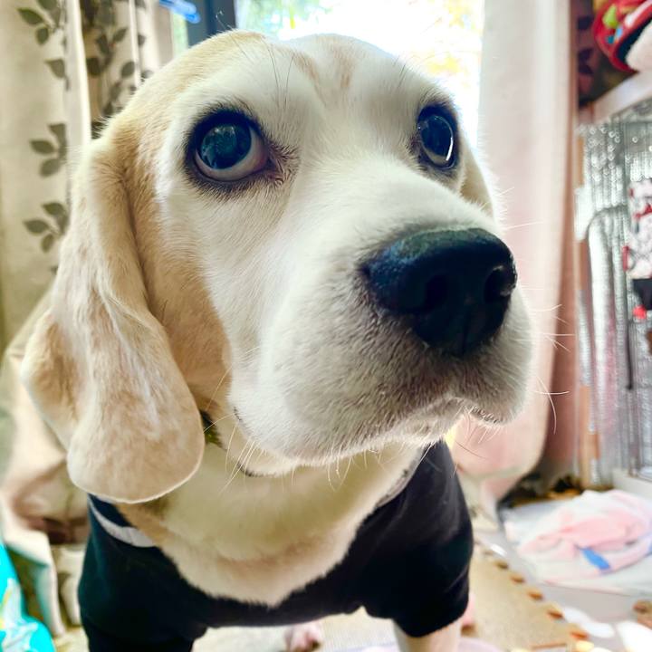 Ec72a2b1 3fc9 4dcc bce0 8ddda3d71d49 1638072165300