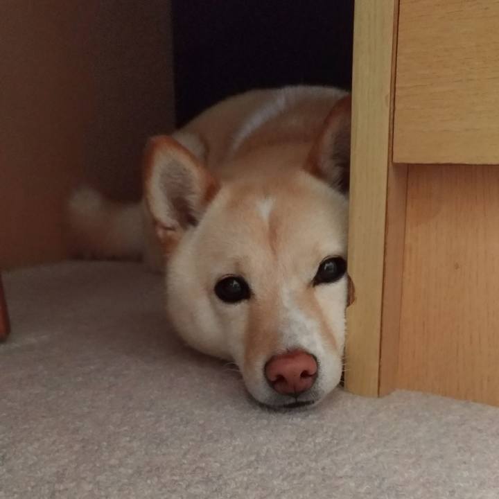 Ec72af3d 3f9e 4512 8d6d b3d7eacf2e80 1554784863949