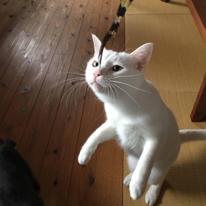 Ec72da85 3c64 4a16 95ef 7efeb5bd1c52 1508133118709