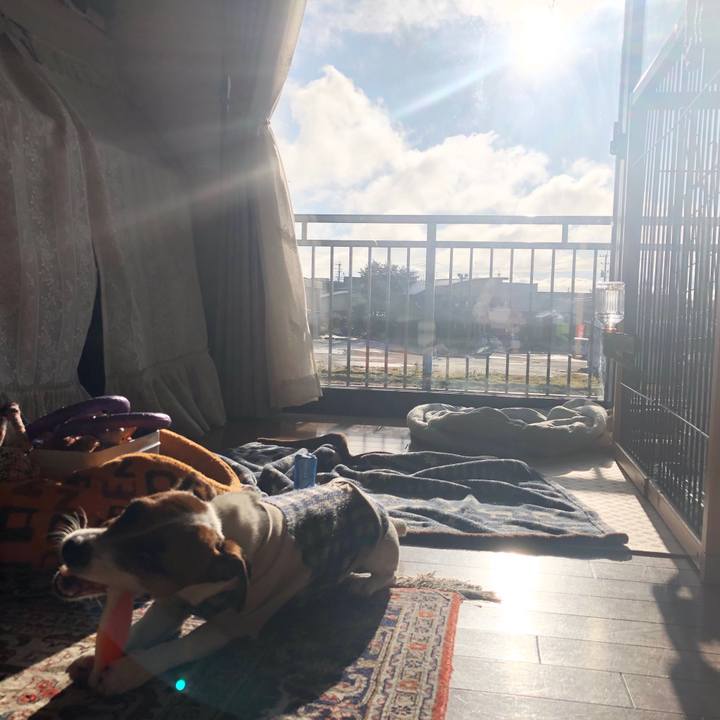 Ec730e91 edbc 4c3c 9de9 b5d4472f5fb4 1574725381775