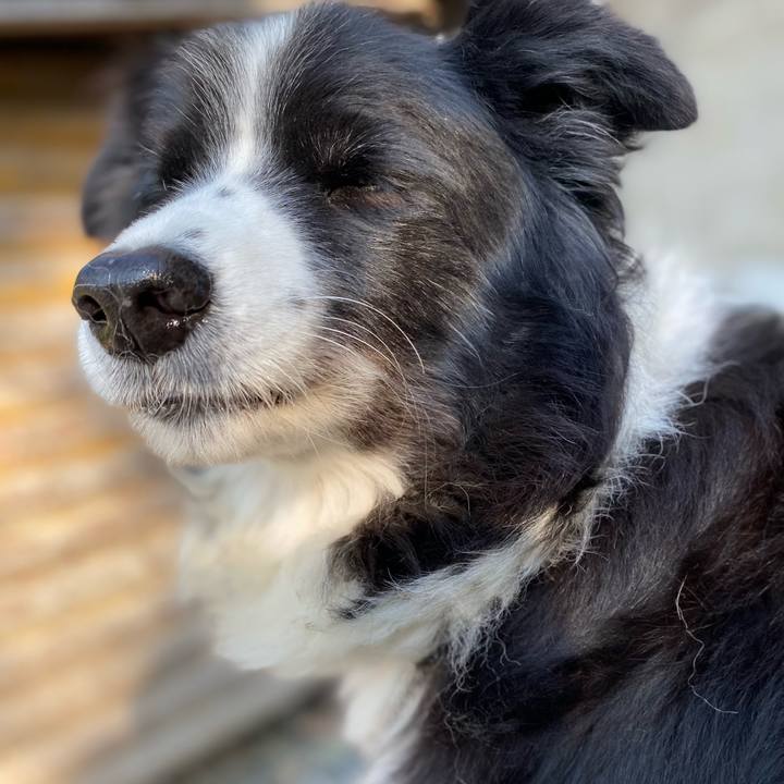 Ec732274 d293 4bc9 b4be b221aa5e8a31 1667778318448