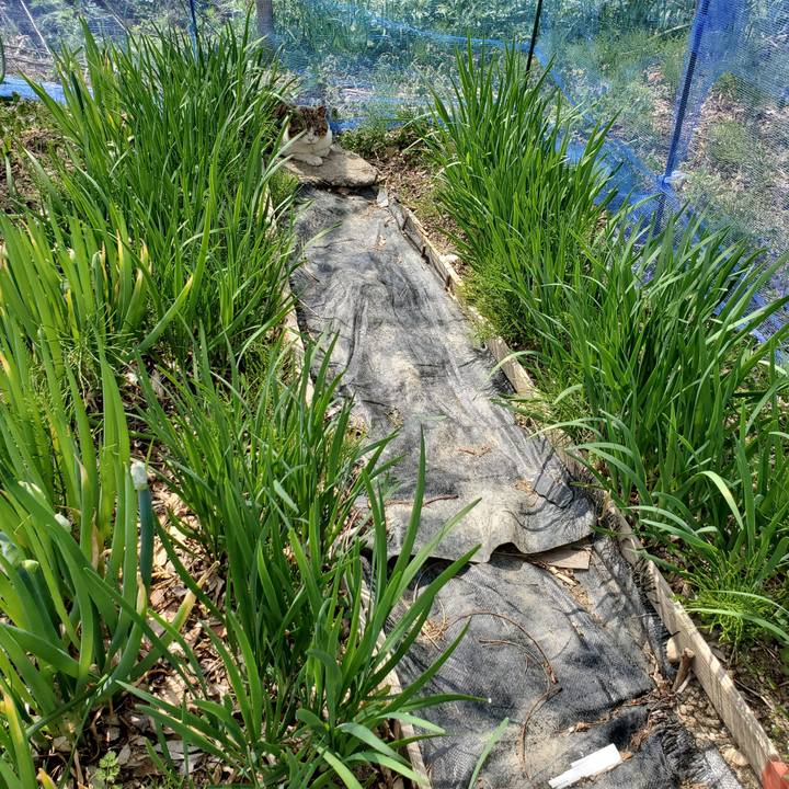 Ec732452 aab9 4554 9660 ca06308f91ac 1749699723573