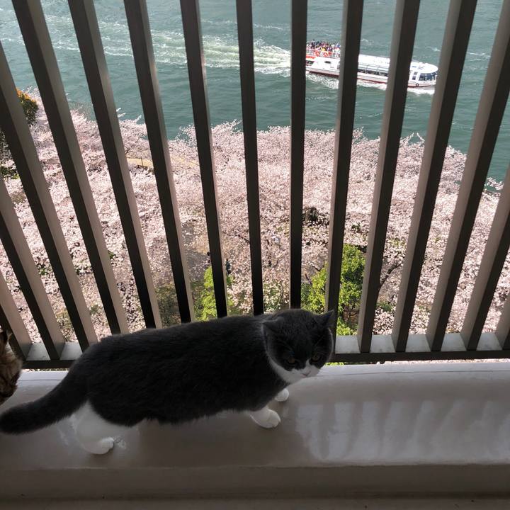 Ec732721 fbce 46d1 8f26 e4e0c54be85a 1522204818582