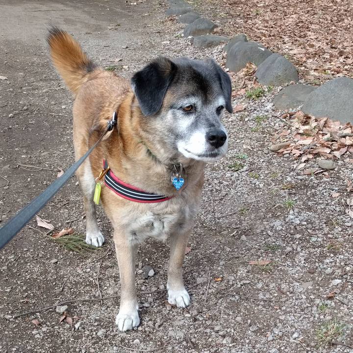 Ec737580 d8f2 4515 8e7f ed9c8751e8a4 1552950923753