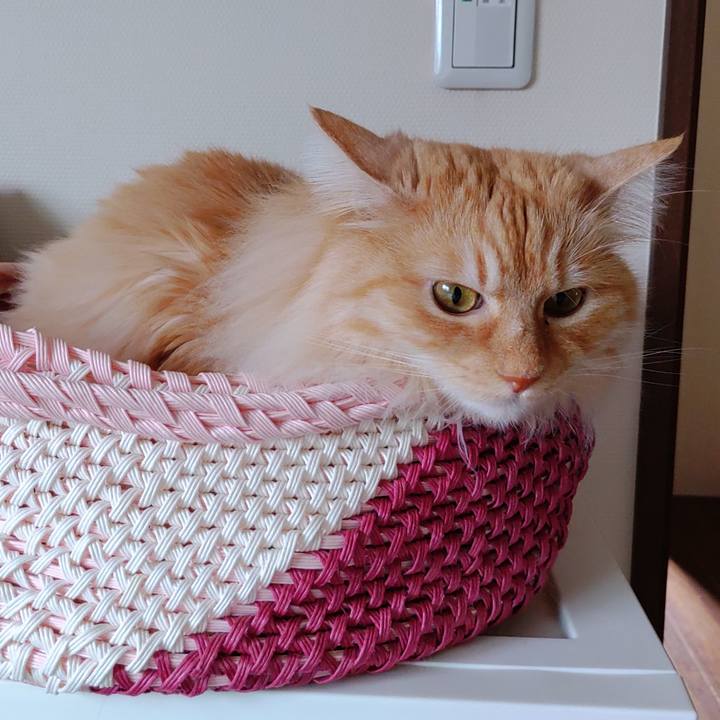 Ec73cc90 bb10 4470 a578 2c404e96fef3 1716509402428