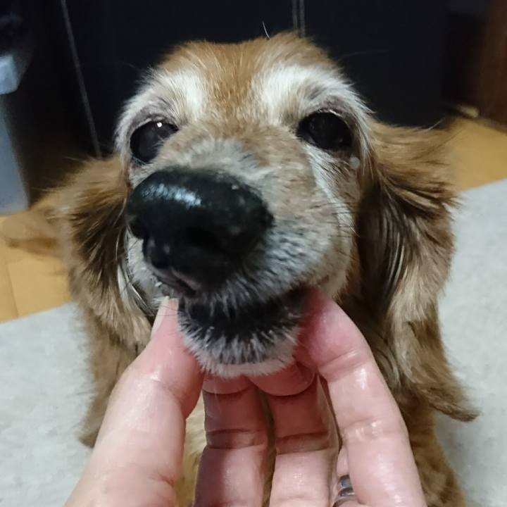 Ec73dcd9 096c 453d a164 d387b4f3db4f 1509420098843