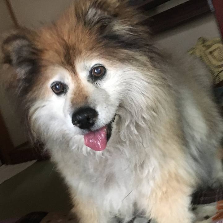 Ec740484 1387 41d0 b64a dfcf138d2050 1585848343888