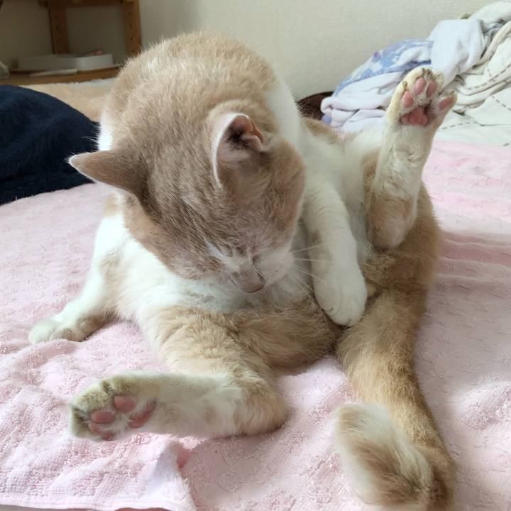 Ec7422c3 ab32 4f98 8361 98f97db1f10e 1626565590917