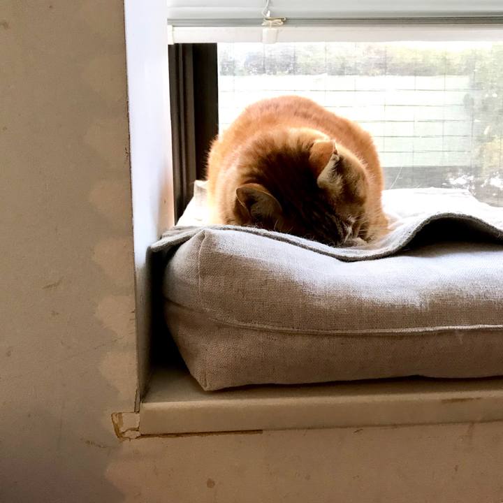 Ec743086 9177 42e4 95c1 57e46d7f1d0d 1512550307246