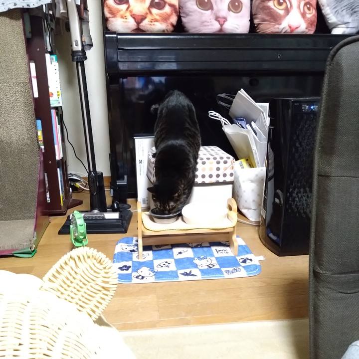 Ec7444c3 2ca4 4325 919d c1b57e8fadde 1760271326593