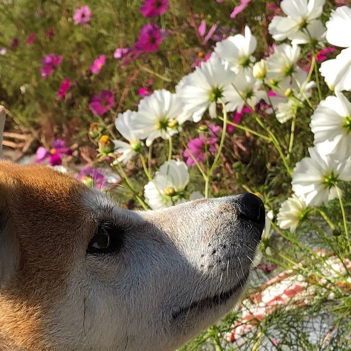 Ec747189 ca33 4fe7 808d 608b1e2120d0 1540528821630