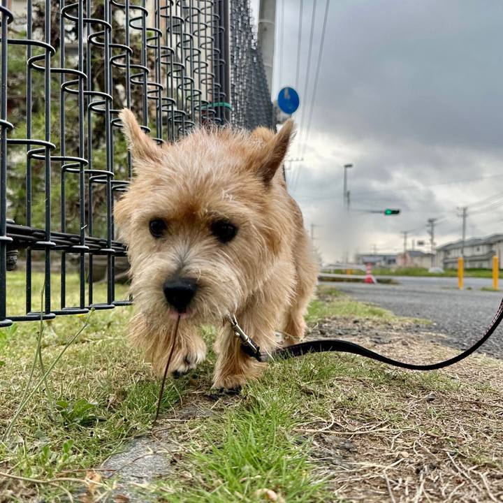 Ec749f66 bbf9 4d5a 85f6 993812984bce 1716770883172