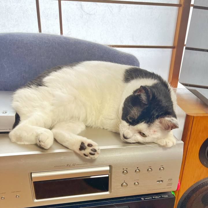 Ec74b323 e016 4b2d a12d eb4802664f84 1751929009983