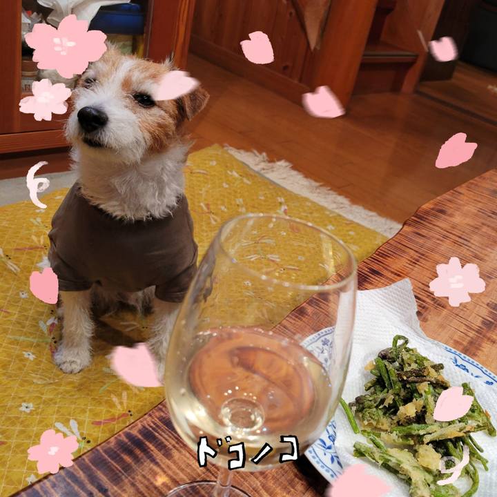 Ec74c4ae 636c 4d4c a9cf 595ee34a313a 1744545766863