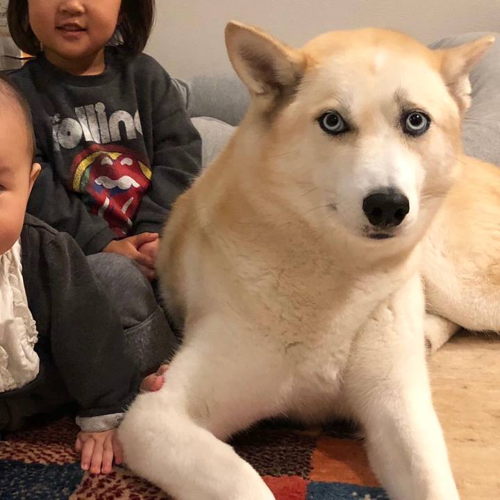 Ec74d0ab 2e97 4123 8c35 e4f751d46442 1544840198356