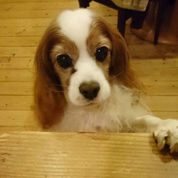 Ec74d3eb 1d7f 4202 9483 861feee04e2b 1523273329663