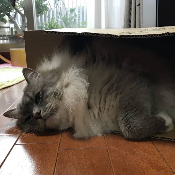 Ec7525f7 34e5 4b84 9f88 e7c917bf3fd6 1524792570593