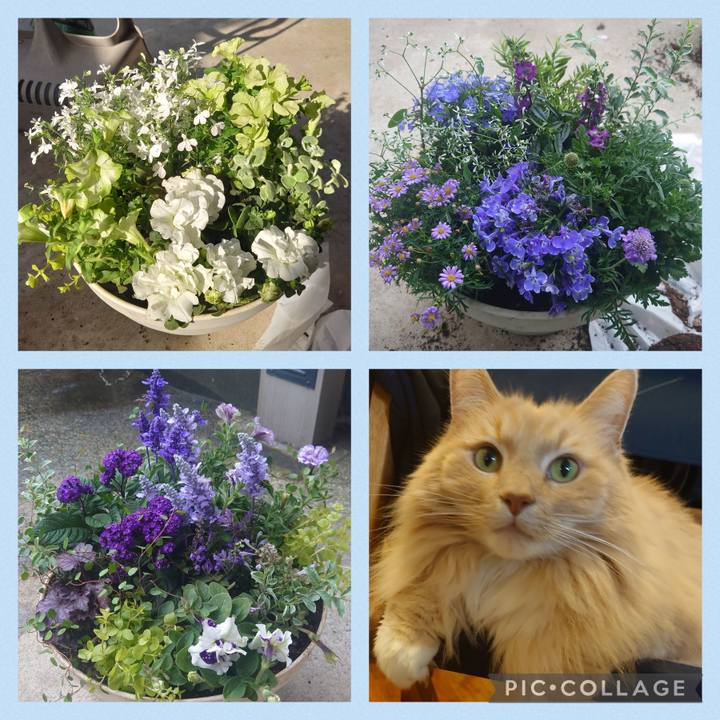 Ec7535b1 da34 4382 9dea a499dba20f31 1684411836576