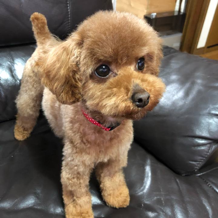 Ec756268 ca13 4def 9f67 f6859caeeec5 1555411871138