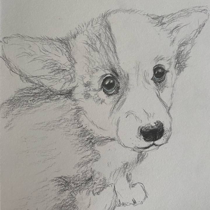 Ec7587e5 cb38 431d af12 c034b5b46a36 1641022293953