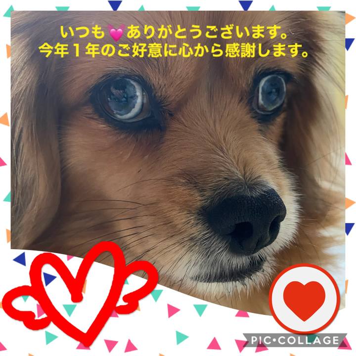 Ec7591d6 9b10 4ea5 8d84 57102fdc5748 1609371778859