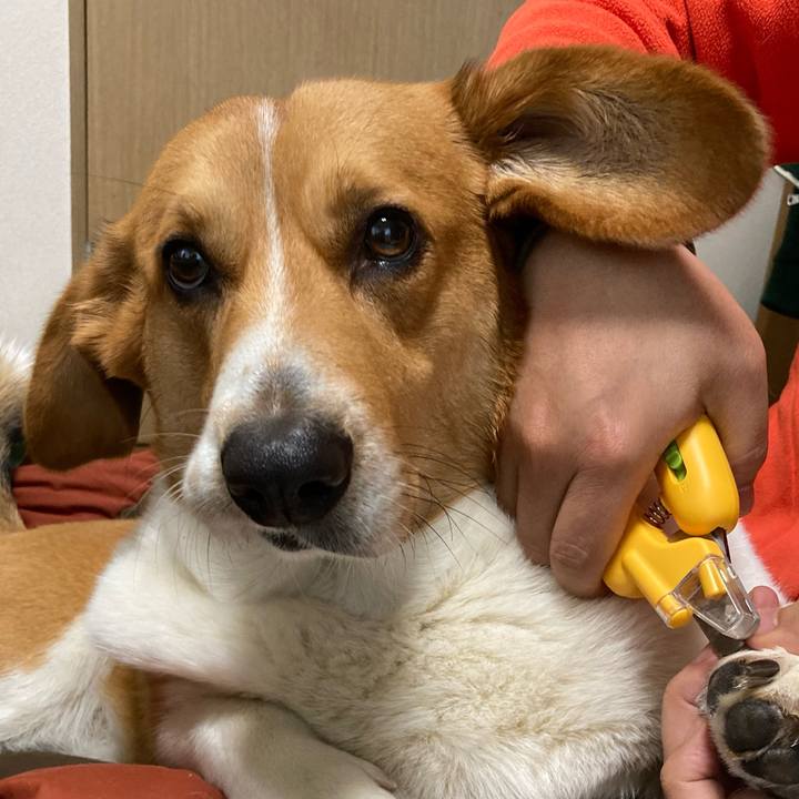 Ec75ab00 523a 4d8e b2b2 df15faedcfb3 1679799798183