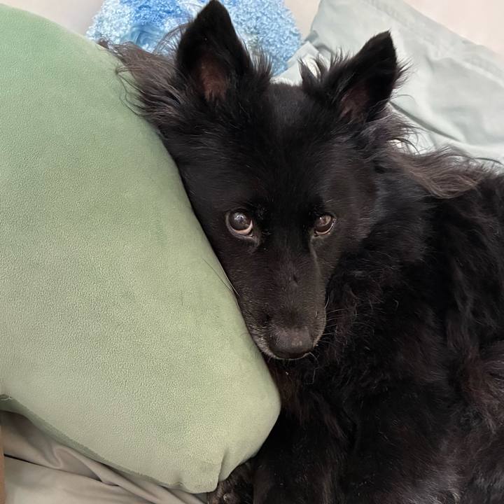 Ec75b379 4cd8 4fd2 ad74 f9148702f7f7 1760453054299