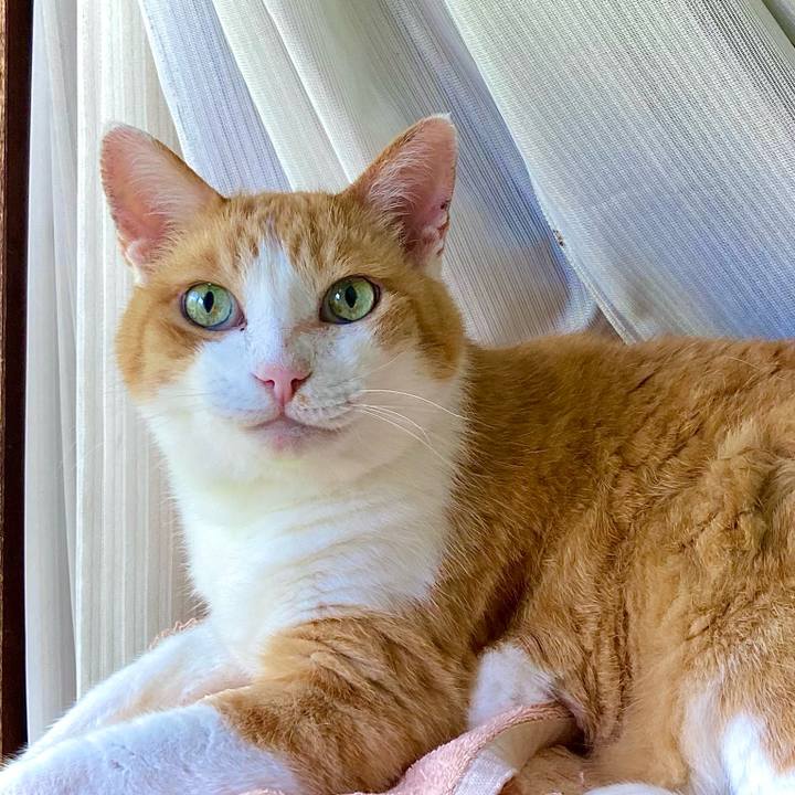 Ec75b8f4 359e 41cb 8ce1 5a349a96bc4a 1691638164166