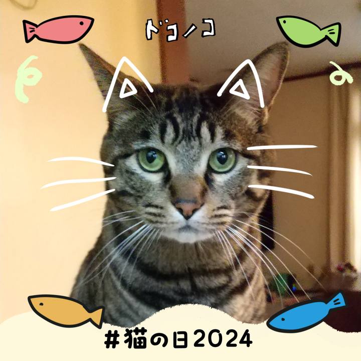 Ec75db0d f10e 4aa1 ba1d 58ab7e72f3f6 1708550233026