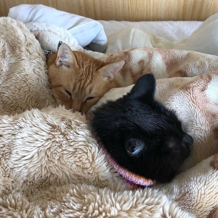 Ec75dbb7 ad7c 4456 83c2 5cac6028e714 1588645647711