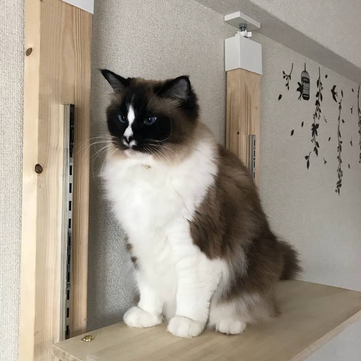 Ec765e39 6381 4f70 a03a 6cd81118c524 1525562740431