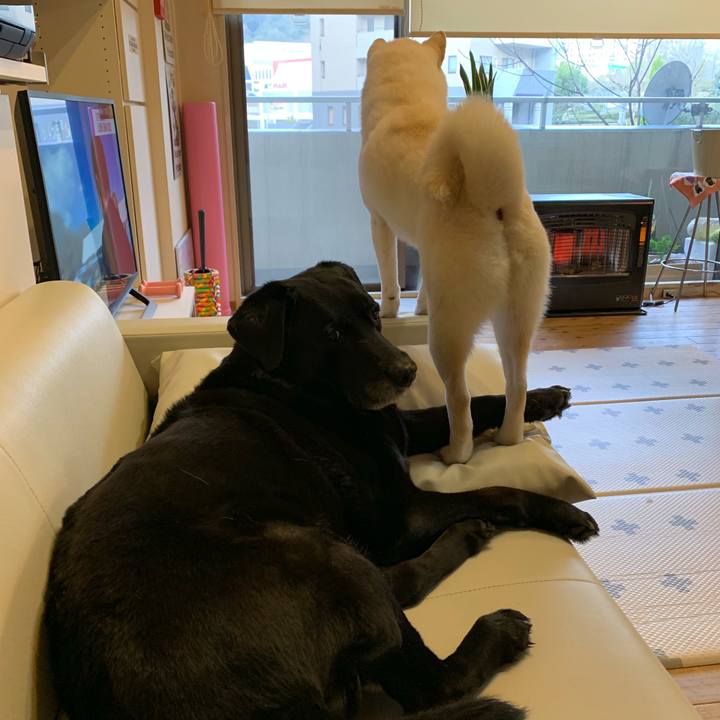 Ec76e034 3672 4403 9bcb 7df89b22b44d 1553645009600