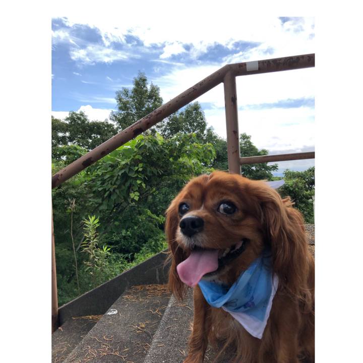 Ec7701f1 89b2 46f8 a74b 44eca80dfa34 1595034633820