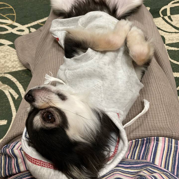 Ec770864 bff4 4c57 9310 9eb80cd5e159 1642339234651