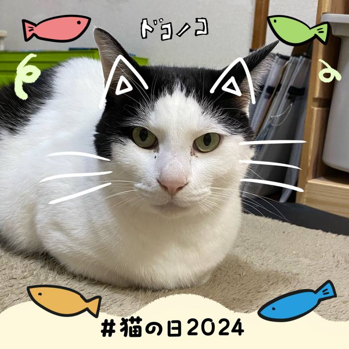 Ec777053 c4eb 47bd b9c4 7544555d000c 1708607198704