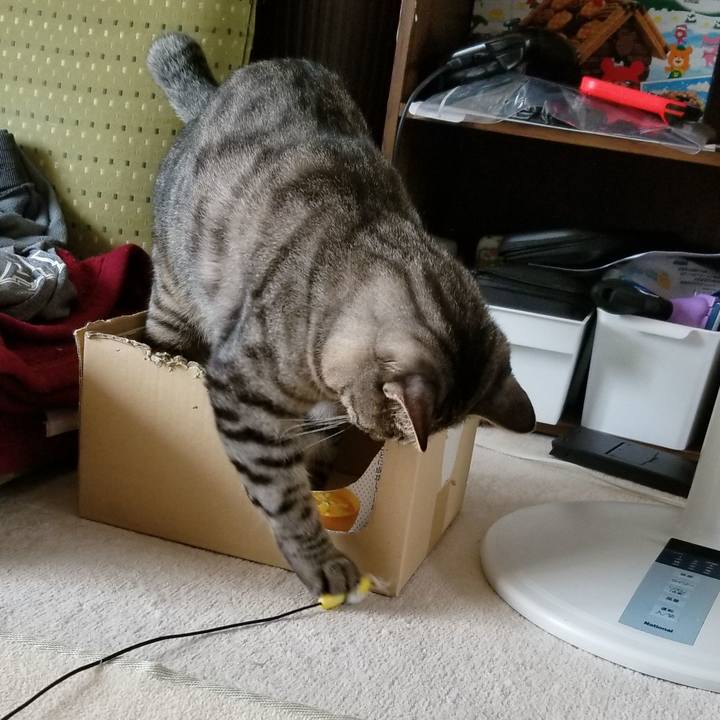 Ec7779a2 c800 4dff a3b3 ba99adb30c7b 1691636305478