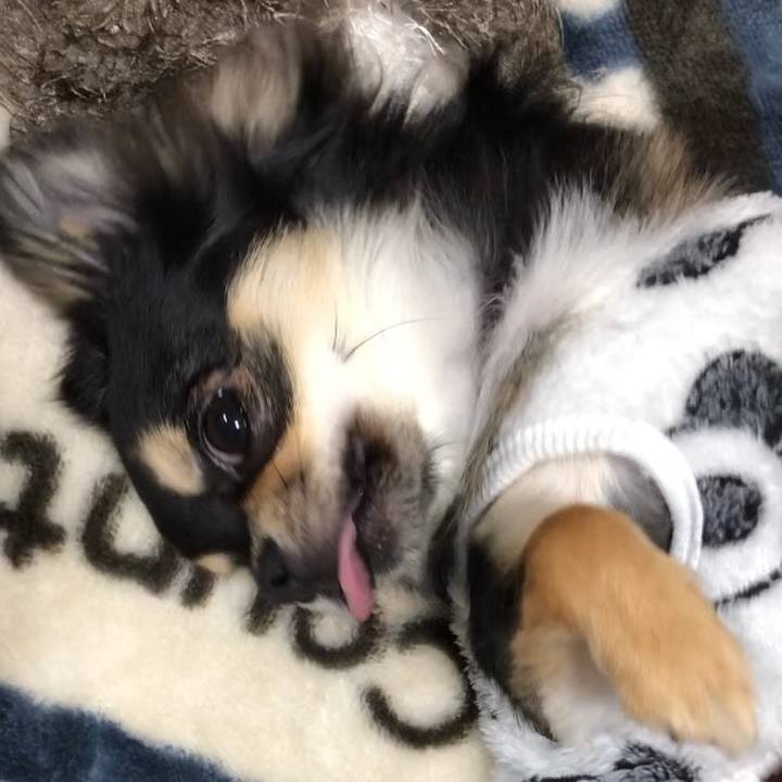 Ec77a200 0e69 4f8b a59e 504d8c6262cc 1549063646899