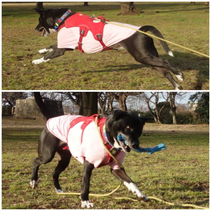 Ec78252f 2d41 4487 828c d38aced199b5 1674090001558