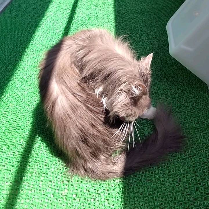 Ec782665 43af 44e4 a285 85d5ddc8186b 1653198433215