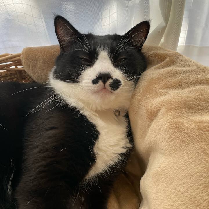 Ec782a38 4a1c 4916 b124 04c5089f01d0 1669938003886